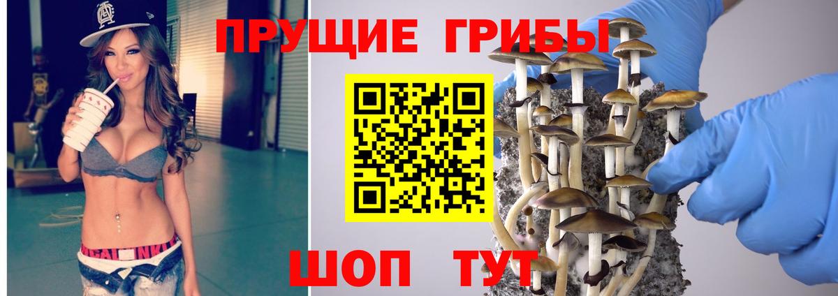 Кубинка  закладки  Вход с VPN  Галлюциногенные грибы Cubensis  Галлюциногенные грибы прущие грибы 